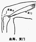 張開穴|醫砭 » 經穴庫 » 箕門